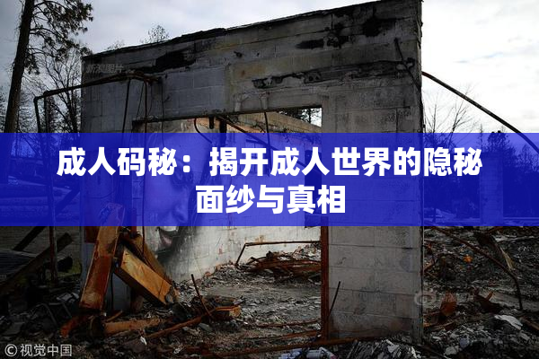 成人码秘：揭开成人世界的隐秘面纱与真相