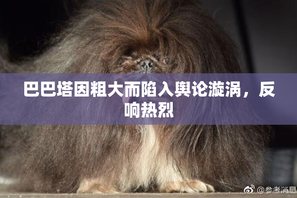 巴巴塔因粗大而陷入舆论漩涡，反响热烈