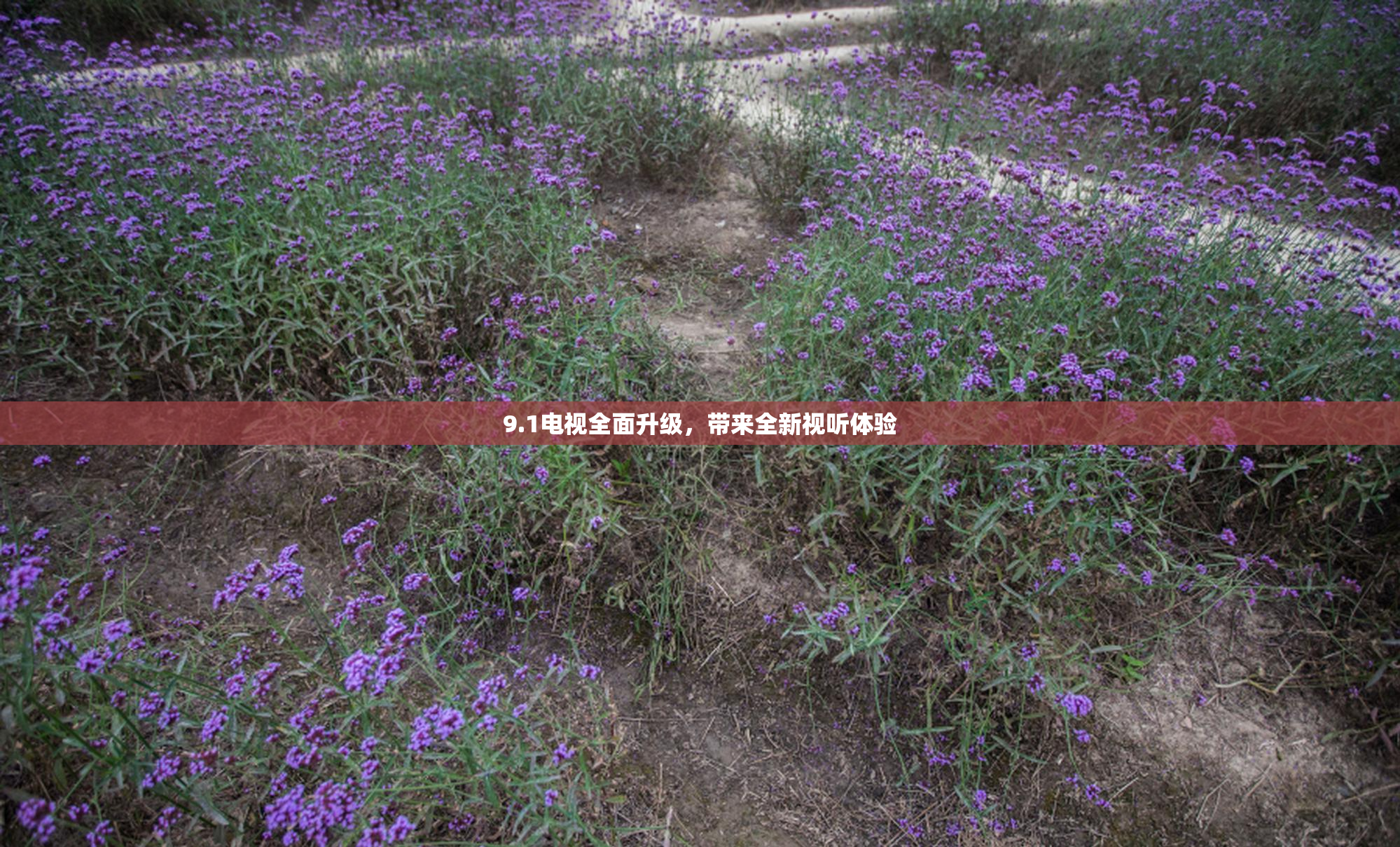 9.1电视全面升级，带来全新视听体验