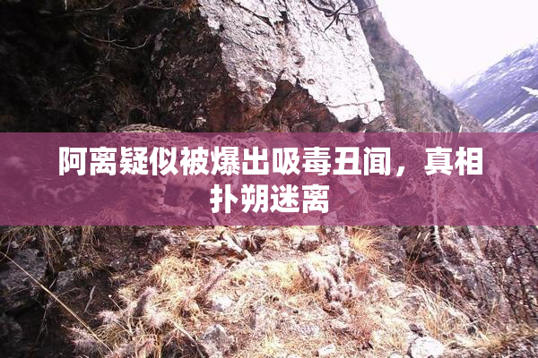 阿离疑似被爆出吸毒丑闻，真相扑朔迷离