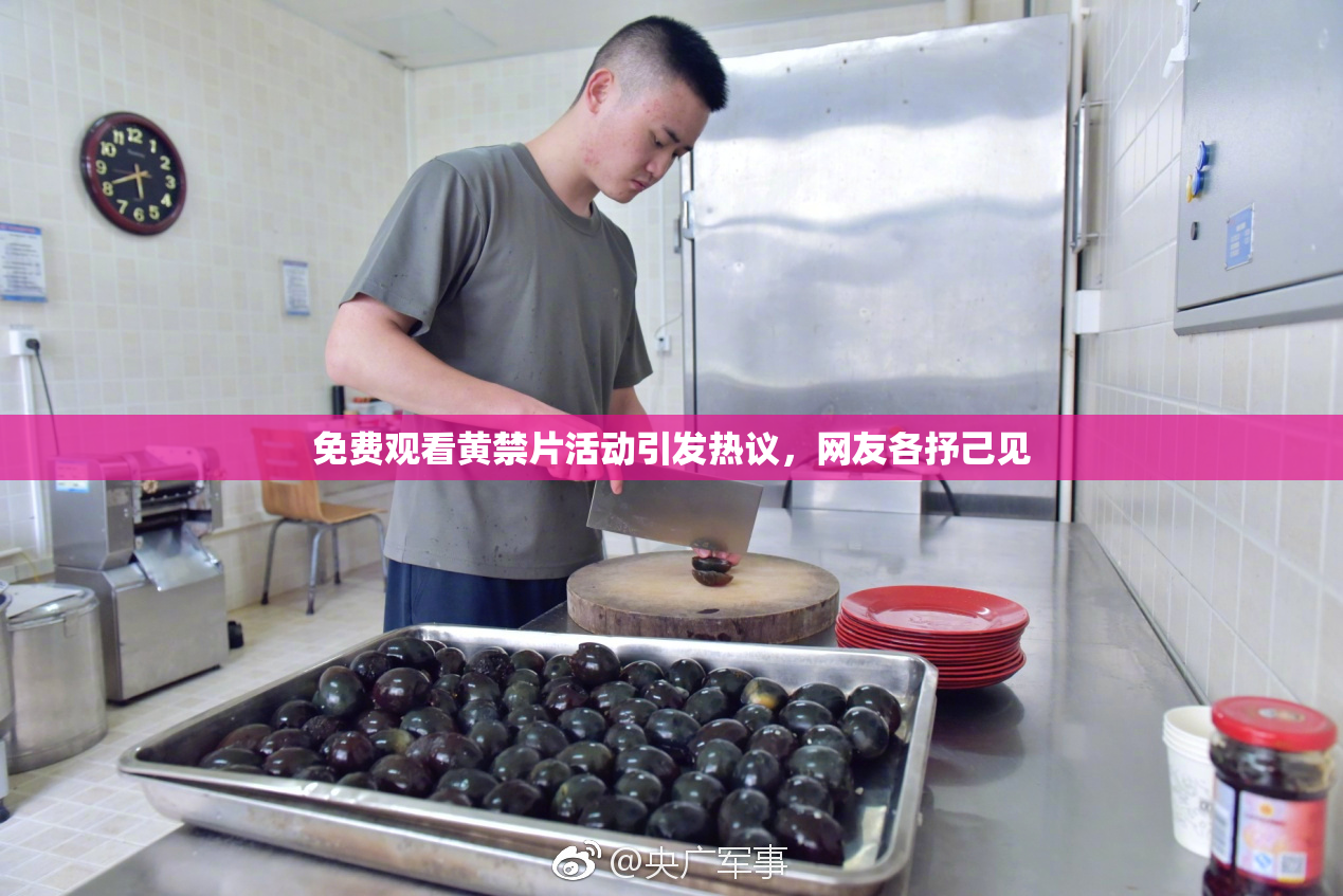 免费观看黄禁片活动引发热议，网友各抒己见