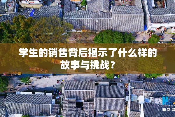 学生的销售背后揭示了什么样的故事与挑战？