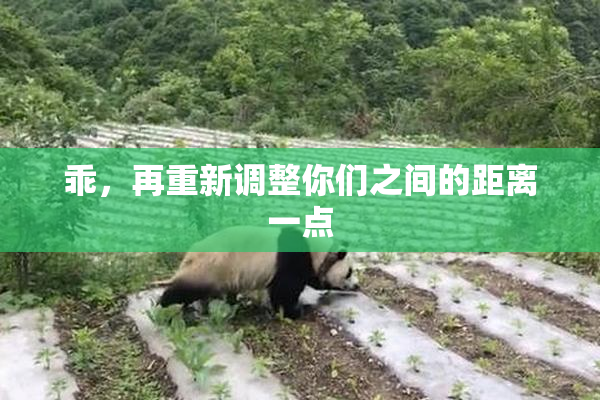 乖，再重新调整你们之间的距离一点