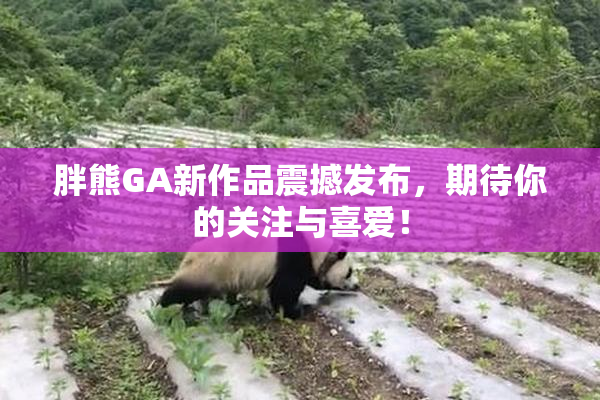 胖熊GA新作品震撼发布，期待你的关注与喜爱！