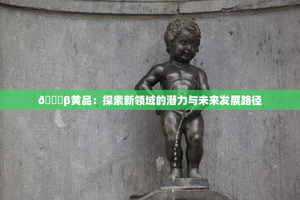 🔞β黄品：探索新领域的潜力与未来发展路径