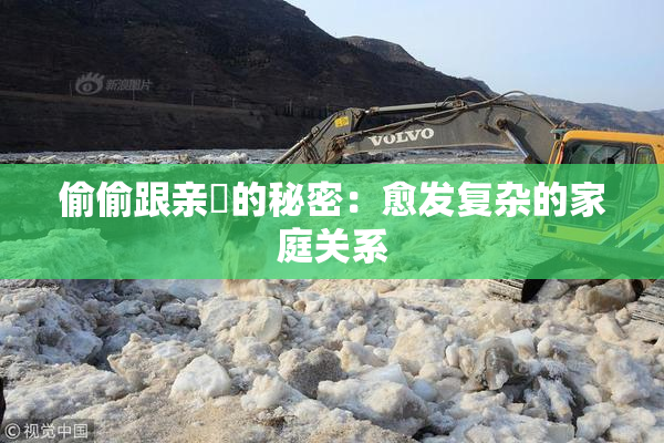 偷偷跟亲妺的秘密：愈发复杂的家庭关系