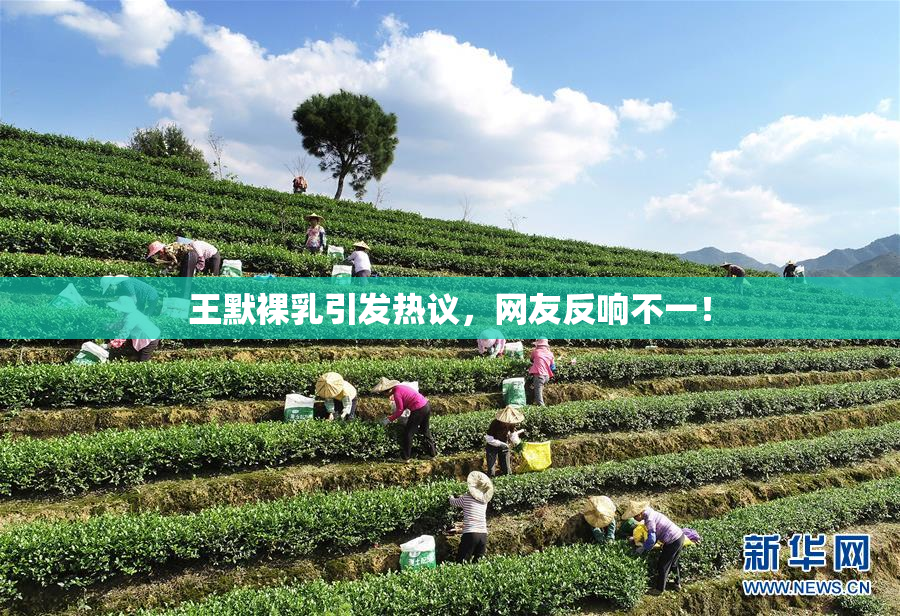 王默裸乳引发热议，网友反响不一！