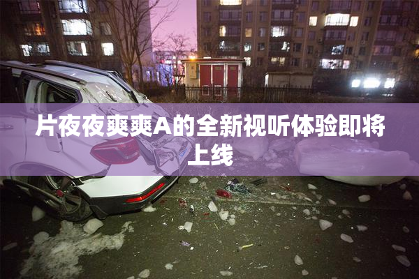 片夜夜爽爽A的全新视听体验即将上线