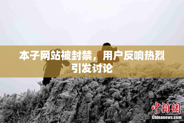 本子网站被封禁，用户反响热烈引发讨论