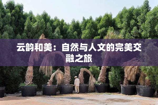 云韵和美：自然与人文的完美交融之旅