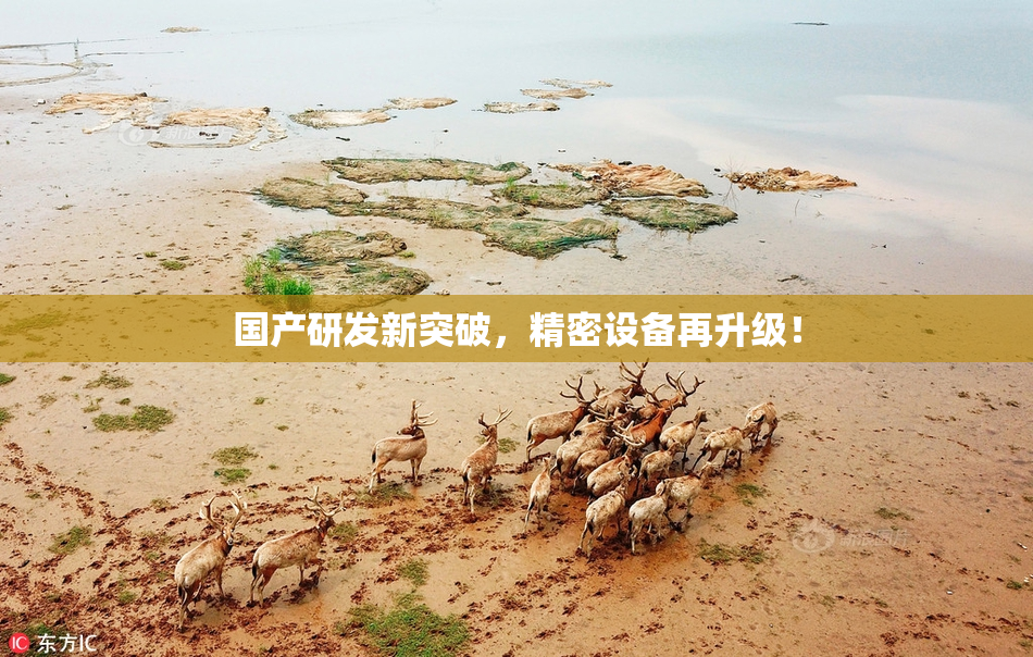 国产研发新突破，精密设备再升级！