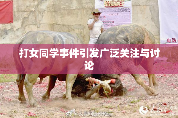 打女同学事件引发广泛关注与讨论