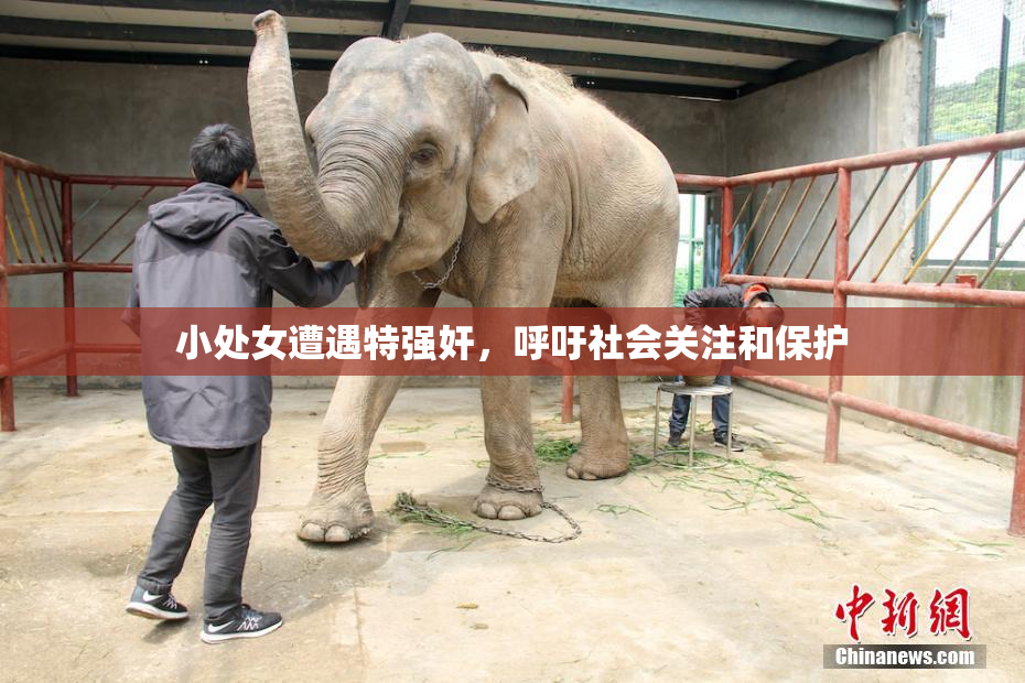 小处女遭遇特强奸，呼吁社会关注和保护
