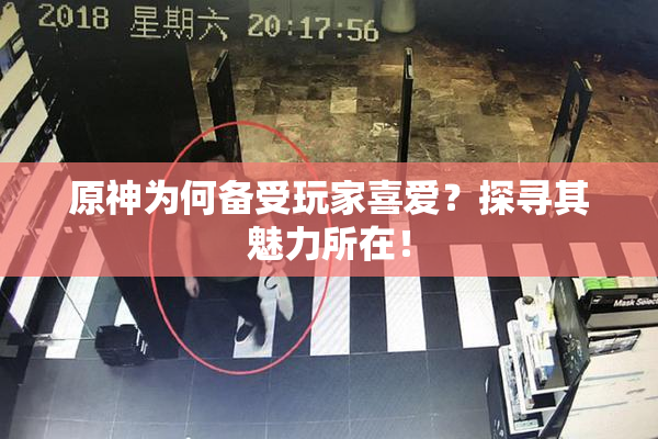 原神为何备受玩家喜爱？探寻其魅力所在！
