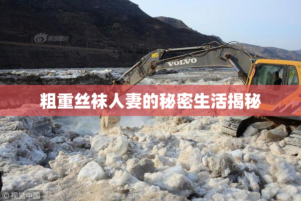 粗重丝袜人妻的秘密生活揭秘