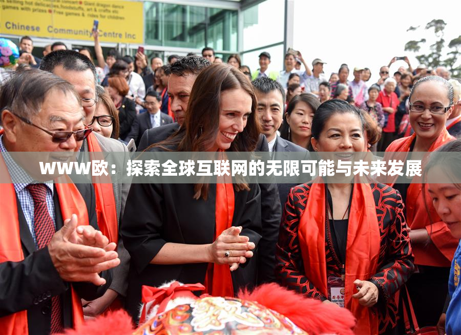 WWW欧：探索全球互联网的无限可能与未来发展