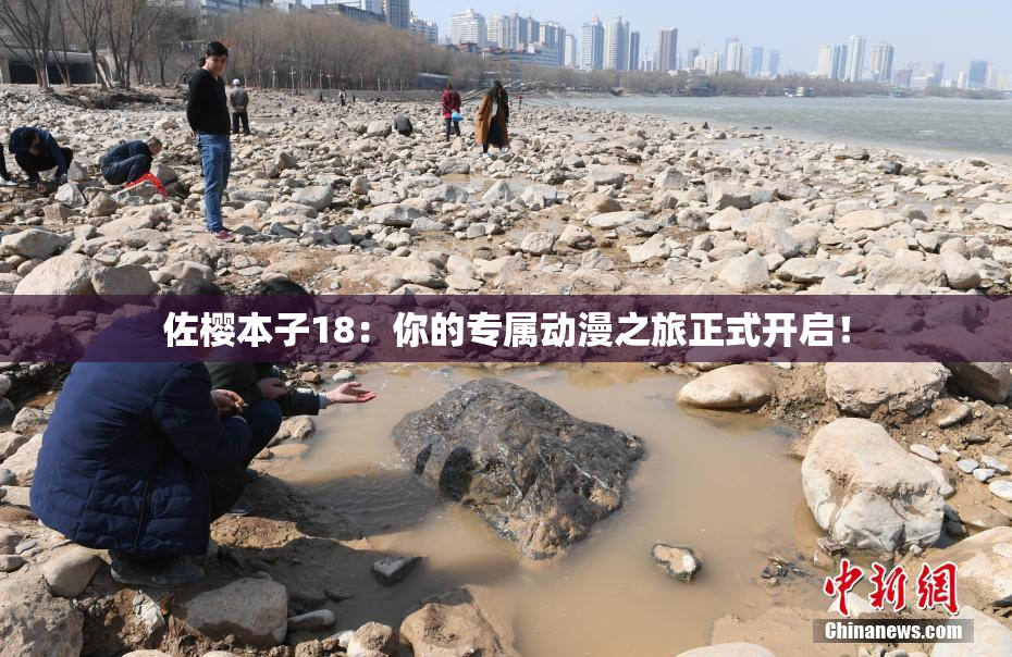 佐樱本子18：你的专属动漫之旅正式开启！