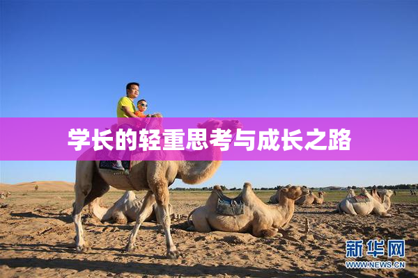 学长的轻重思考与成长之路