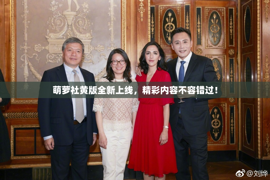 萌萝社黄版全新上线，精彩内容不容错过！