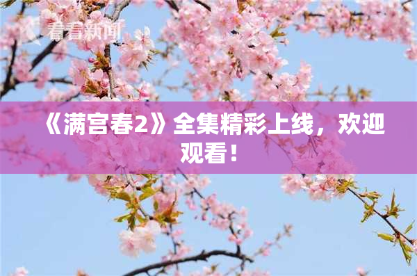 《满宫春2》全集精彩上线，欢迎观看！