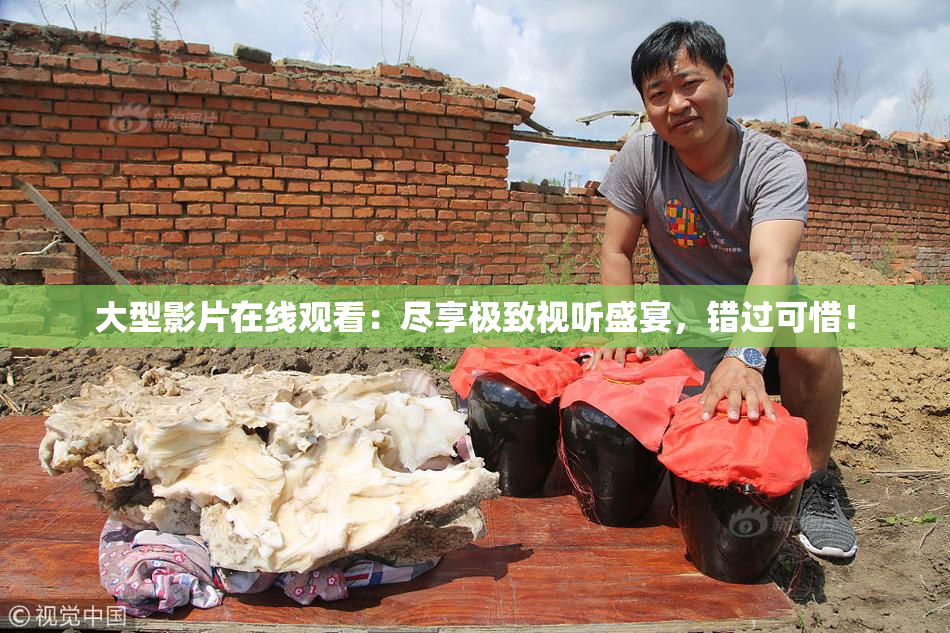 大型影片在线观看：尽享极致视听盛宴，错过可惜！