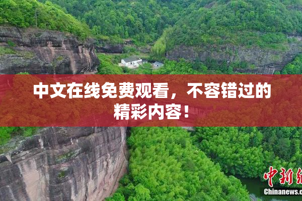 中文在线免费观看，不容错过的精彩内容！