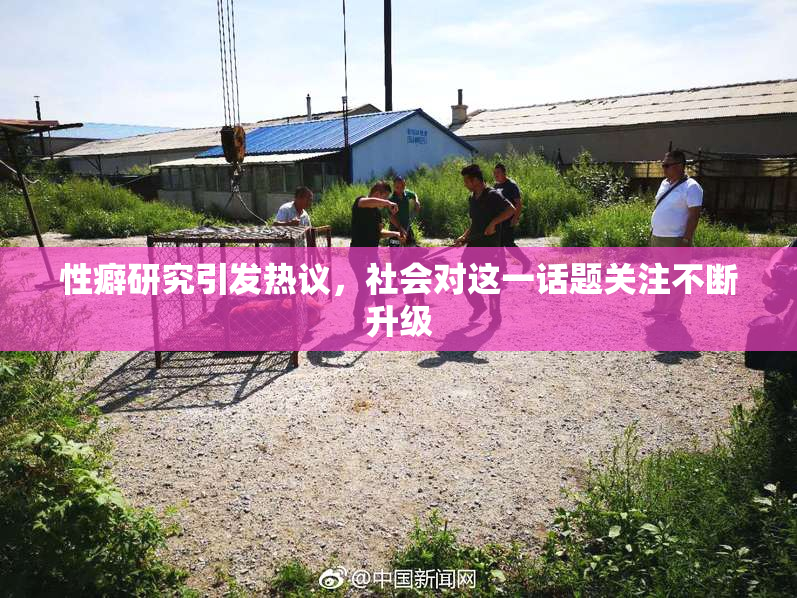 性癖研究引发热议，社会对这一话题关注不断升级