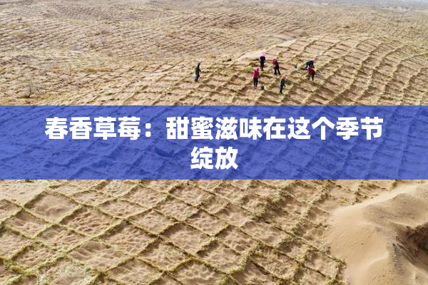 春香草莓：甜蜜滋味在这个季节绽放