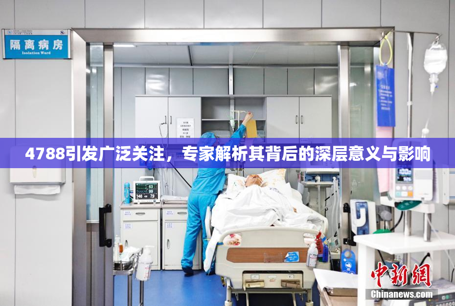4788引发广泛关注，专家解析其背后的深层意义与影响