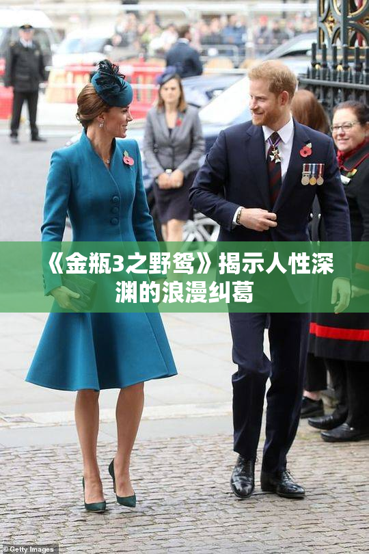 《金瓶3之野鸳》揭示人性深渊的浪漫纠葛