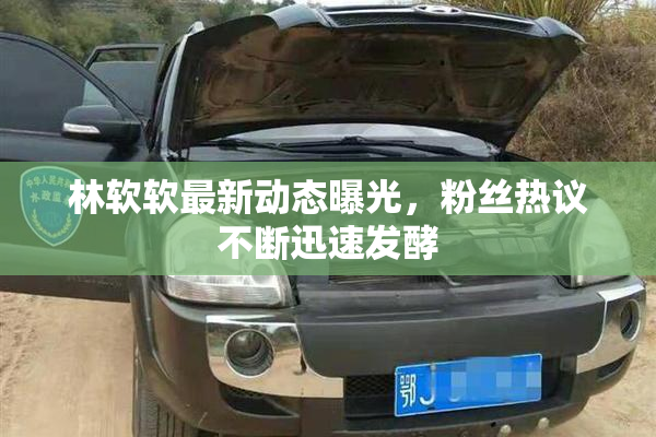 林软软最新动态曝光，粉丝热议不断迅速发酵