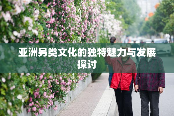 亚洲另类文化的独特魅力与发展探讨