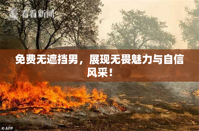 免费无遮挡男，展现无畏魅力与自信风采！
