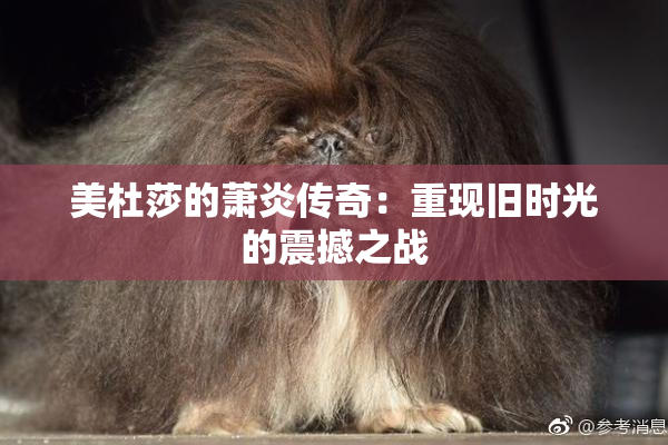 美杜莎的萧炎传奇：重现旧时光的震撼之战