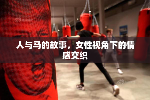 人与马的故事，女性视角下的情感交织