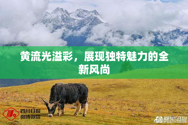 黄流光溢彩，展现独特魅力的全新风尚