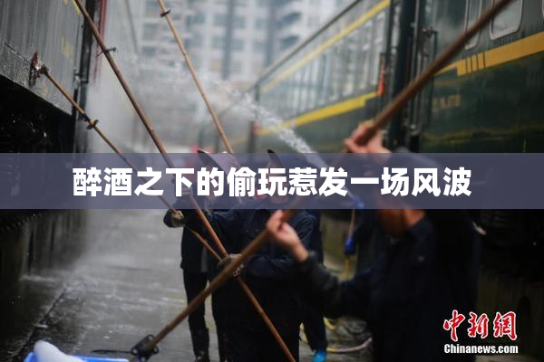 醉酒之下的偷玩惹发一场风波
