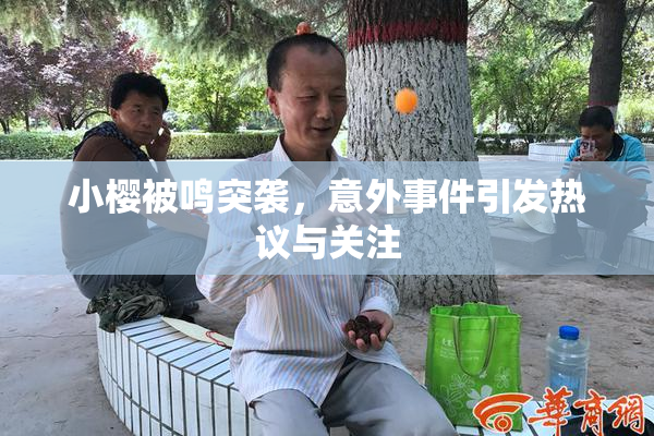 小樱被鸣突袭，意外事件引发热议与关注