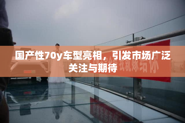 国产性70y车型亮相，引发市场广泛关注与期待