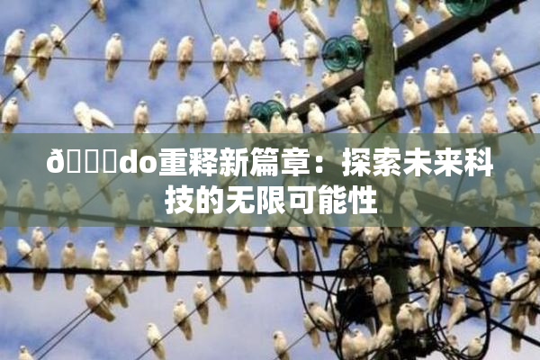 🔞do重释新篇章：探索未来科技的无限可能性
