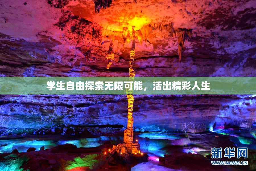 学生自由探索无限可能，活出精彩人生