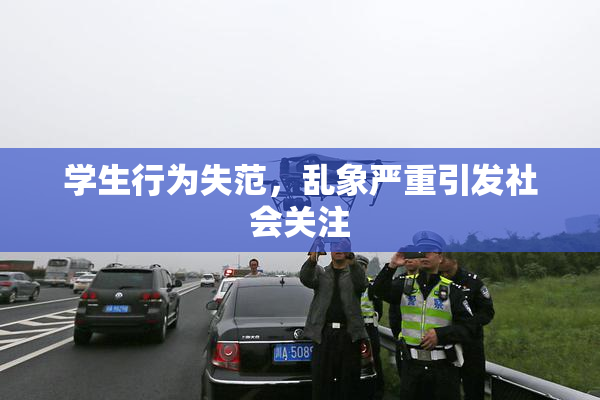 学生行为失范，乱象严重引发社会关注