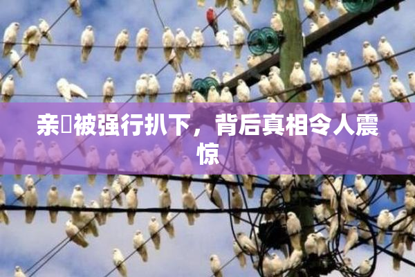 亲妺被强行扒下，背后真相令人震惊