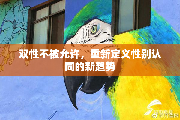 双性不被允许，重新定义性别认同的新趋势