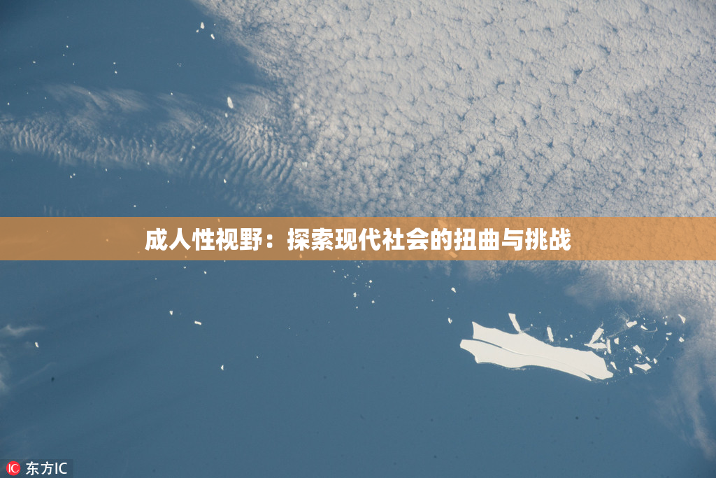 成人性视野：探索现代社会的扭曲与挑战