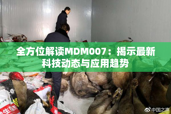 全方位解读MDM007：揭示最新科技动态与应用趋势