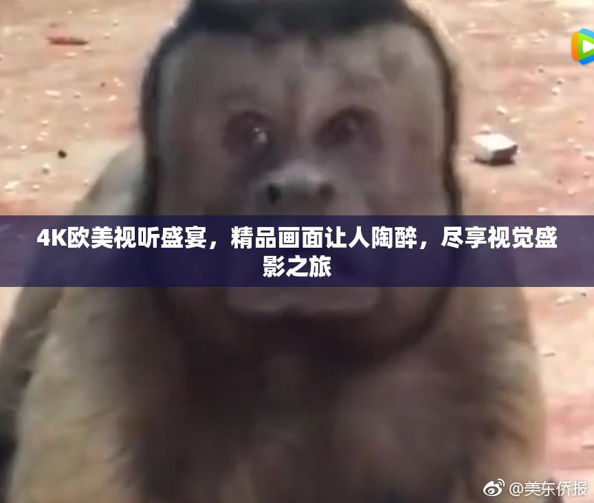 4K欧美视听盛宴，精品画面让人陶醉，尽享视觉盛影之旅