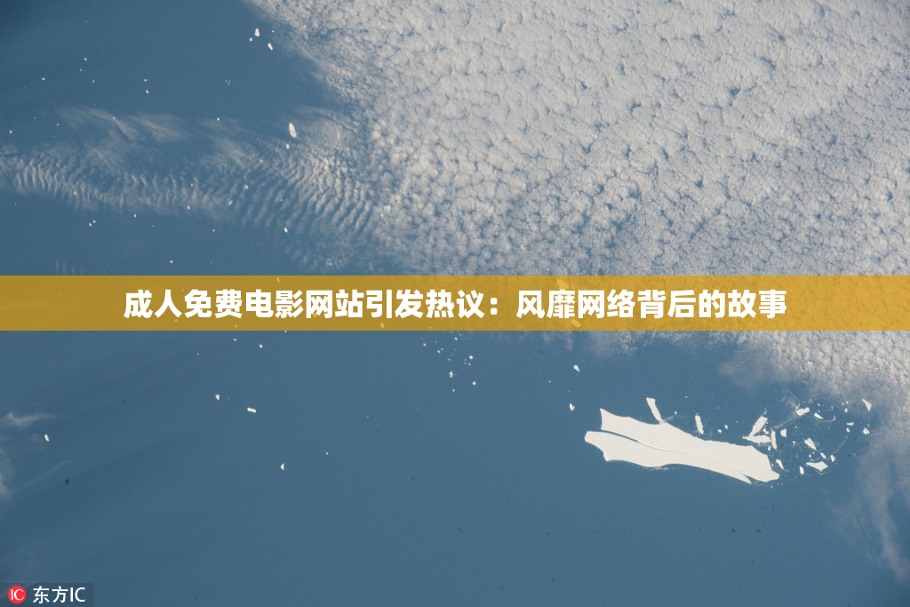 成人免费电影网站引发热议：风靡网络背后的故事