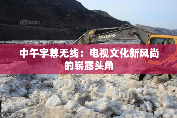 中午字幕无线：电视文化新风尚的崭露头角