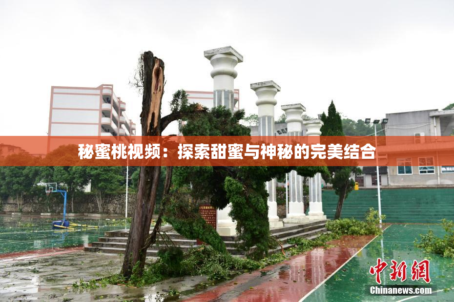秘蜜桃视频：探索甜蜜与神秘的完美结合
